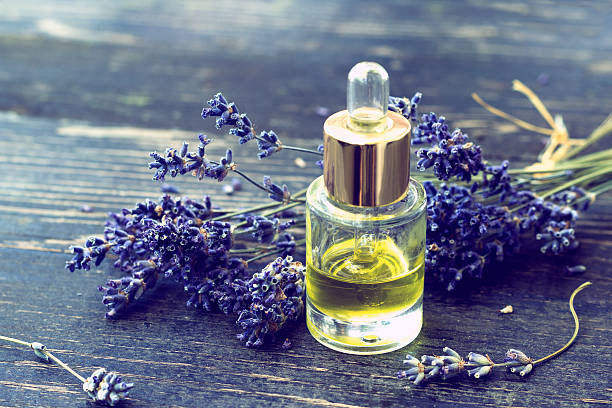 Bottle of lavender oil and lavender flowers stock photo