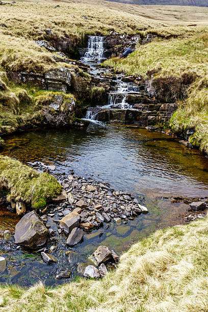 istock Welsh river on edge of the Brecon Beacons 542557388