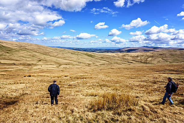 istock Welsh countryside in Brecon Beacons 542557610