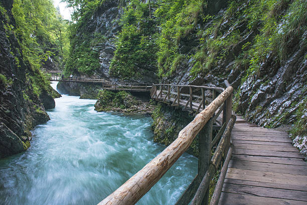 istock Flowing river. Vintgar Gorge, Slovenia 542557840