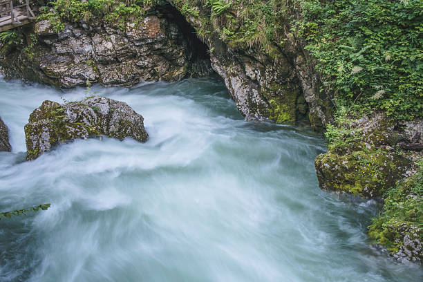 istock Flowing river. Vintgar Gorge, Slovenia 542558014