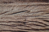 textur-von-alten-holz.jpg?b=1&s=170x170&k=20&c=saL1nR5iZKgHbtbldfzm0bMW8Gl2Ph3rr0DIv768Q_c=