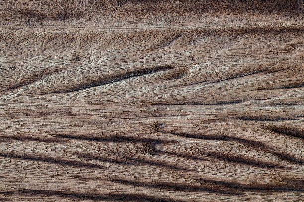 istock Texture of old wood 542559474