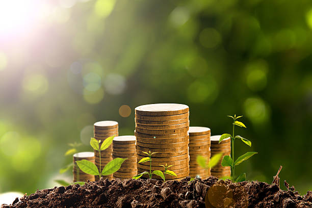 istock Money growing in soil. 542562222