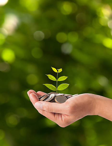 istock Hand holding plant sprouting from a handful of coins 542562258