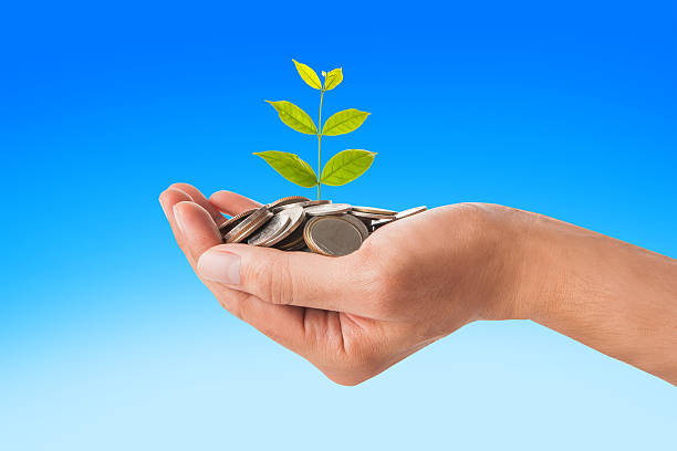 istock Hand holding plant sprouting from a handful of coins 542562282