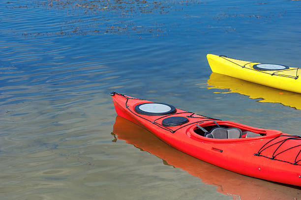 пара одиночных байдарок подряд - rowboat river lake nautical vessel стоковые фото и изображения