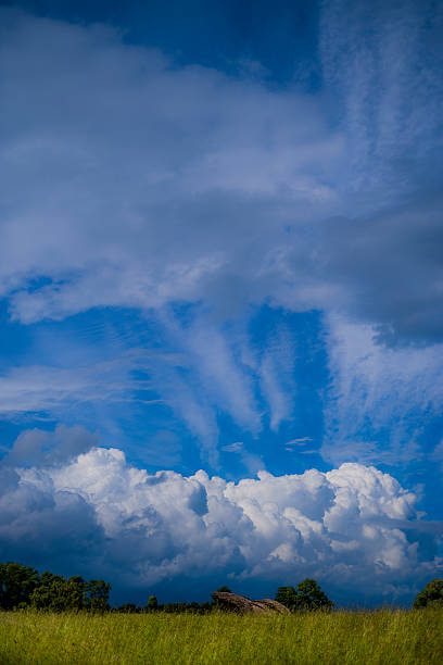 필드 클라우드 - vapor trail cirrus sky cloudscape 뉴스 사진 이미지