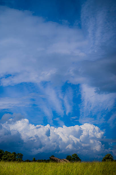 campo nube - vapor trail cirrus sky cloudscape foto e immagini stock