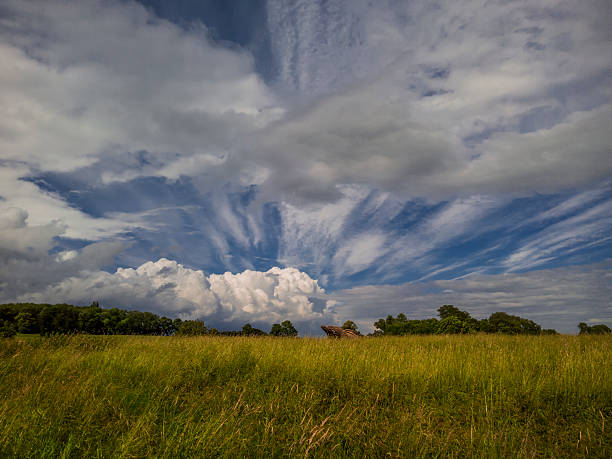 campo nube - vapor trail cirrus sky cloudscape foto e immagini stock