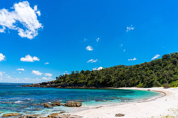 istock Secluded wild beach in tropics 542572304