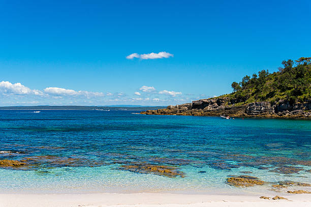 istock Secluded wild beach in tropics 542572350