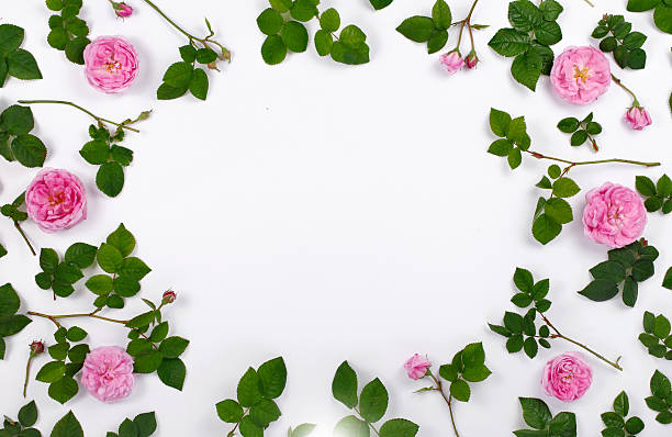 istock Frame with roses and leaves roses 542573804