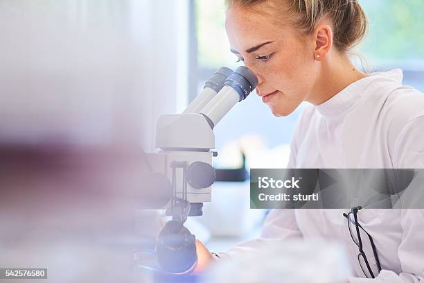 Wissenschaftler Forschung Studenten Stockfoto und mehr Bilder von Labor - Labor, Forschung, Wissenschaft