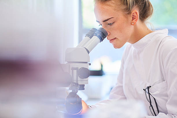 research student scientist a female research scientist is analysing a sample on her microscope in a microbiology lab .  the lab is brightly lit with natural light . Blurred glassware at side of frame provides copy space . chemist photos stock pictures, royalty-free photos & images