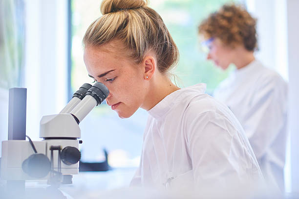 research student scientist a female research scientist is analysing a sample on her microscope in a microbiology lab . Behind her is a  female colleague working at her desk . the lab is brightly lit with natural light . biochemist photos stock pictures, royalty-free photos & images