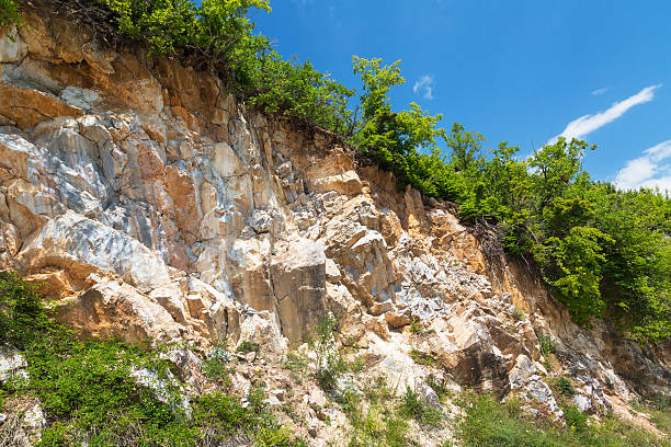 istock Beautiful natural wall of rock and trees background 542579730