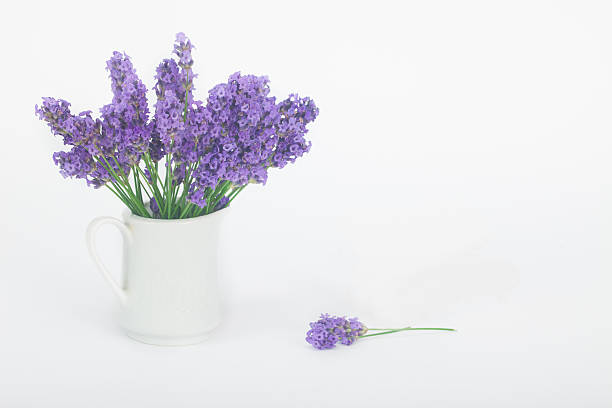 istock Bouquet of lavender flowers 542580510