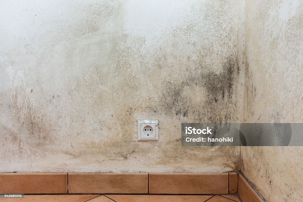 mouldy wall, mold Moving Up Stock Photo