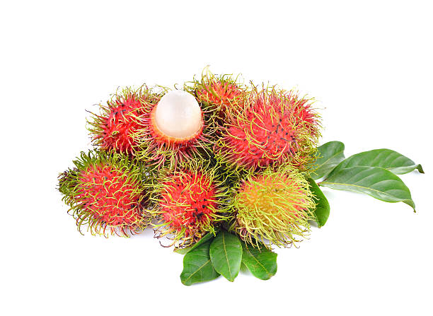 istock Fresh rambutan sweet  fruit isolated on white background 542584738