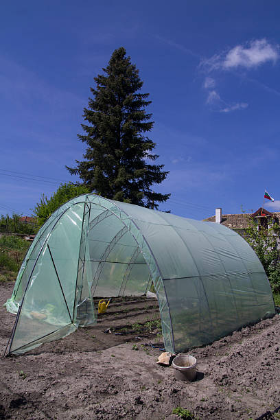 istock garden greenhouse with metal frame 542584998