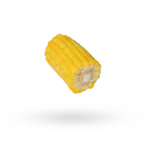istock sliced piece of yellow corn isolated on white 542585998