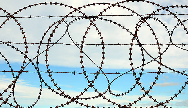 istock Tangled barbed wire fence with sky background 542586232