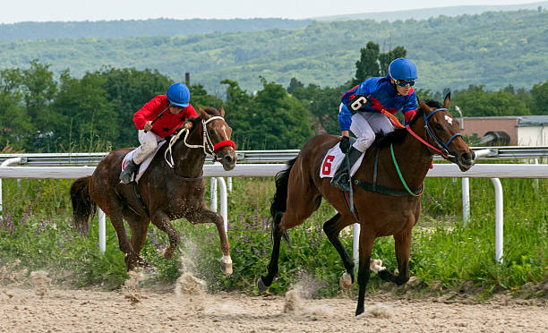 競馬場  - horse horse racing animal head horseracing track ストックフォトと画像