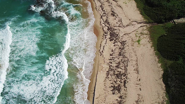 istock Aerial View: Caribbean Beach, Barbados 542589602