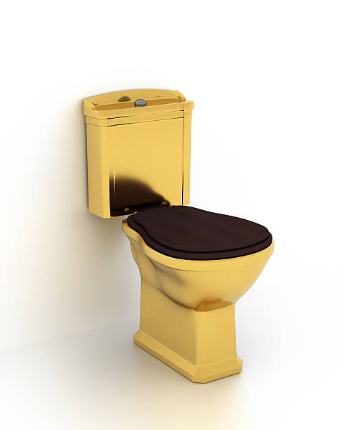 istock Toilet isolated on white background. 542589756