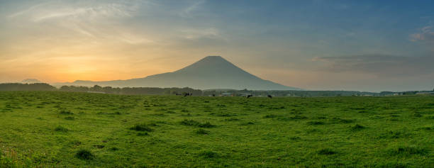 istock Beautiful view of Mount Fuji and field 542590356