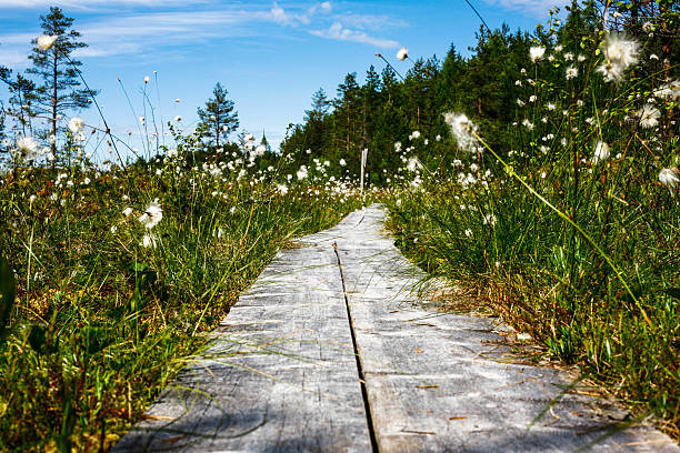 Duckboards takes you straight to outdoor adventures
