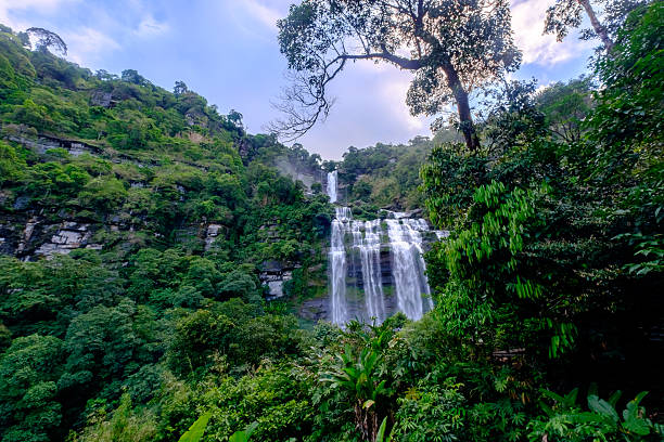 istock tad(Waterfall) Khamude Ban NungLung, Pakse, Laos 542593538