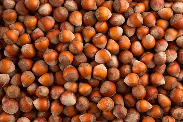 Nuts Background stock photo