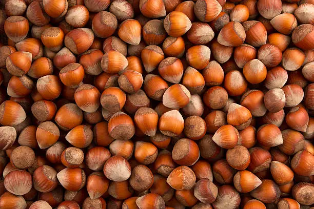 Heap of raw hazelnut background.