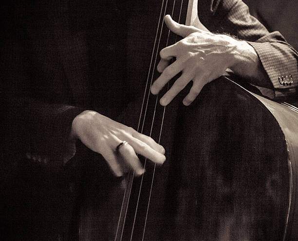 istock Bassist playing his instrument 542594940