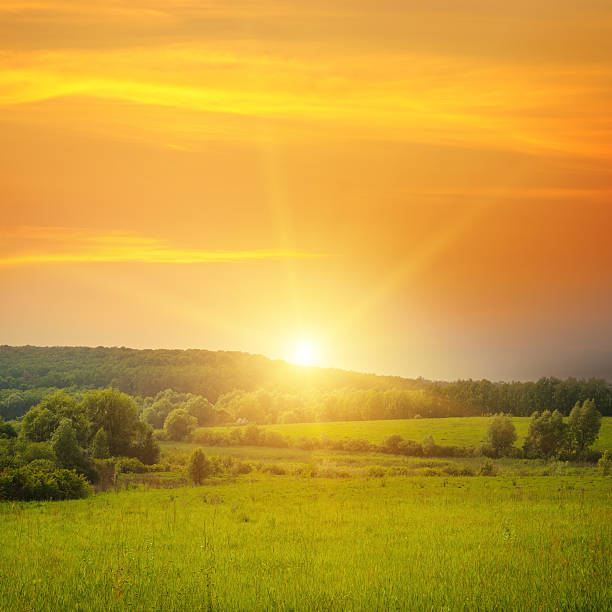 istock field, sunrise and blue sky 542595432