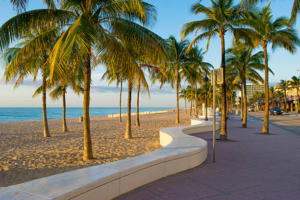 acera en fort lauderdale beach - fort lauderdale florida miami florida beach fotografías e imágenes de stock