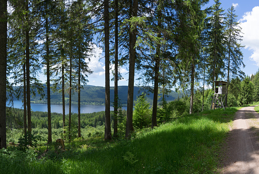 Black Forest, Germany in the summer overlooking the lake Schluchsee - taken from the hiking path Jaegersteig