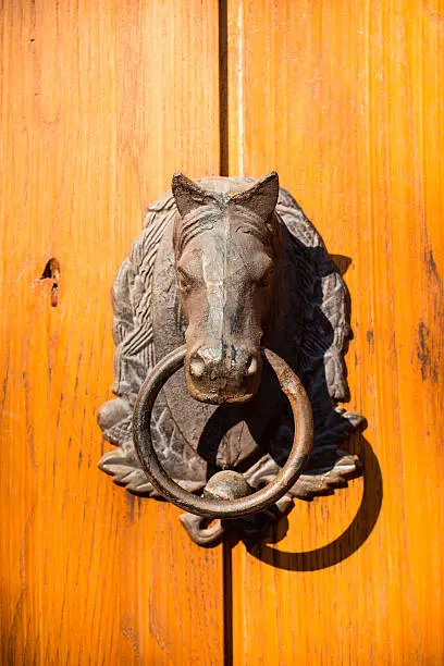Door knocker in the shape of a horse on old wood door