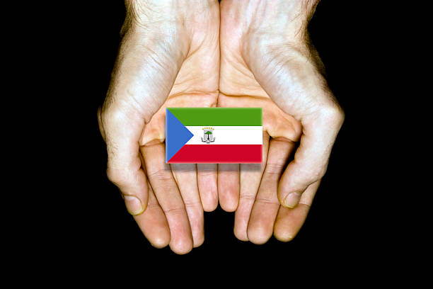 istock Flag of Equatorial Guinea in hands on black background 542691790