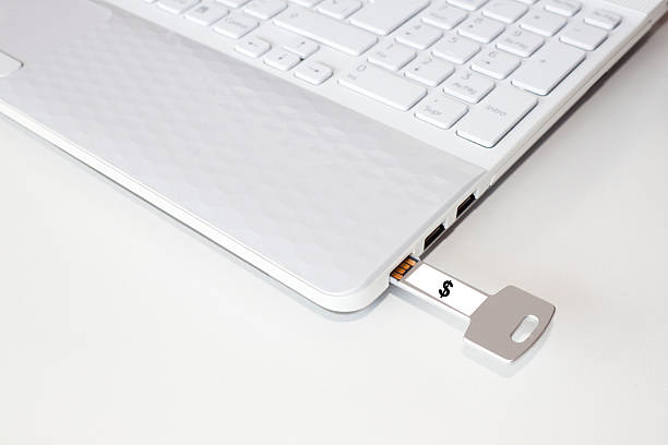 istock Pendrive in a laptop with the dollar sign 542692830