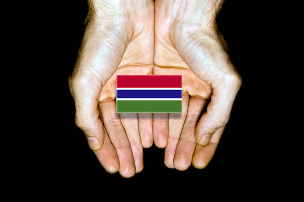 istock Flag of Gambia in hands on black background 542692948