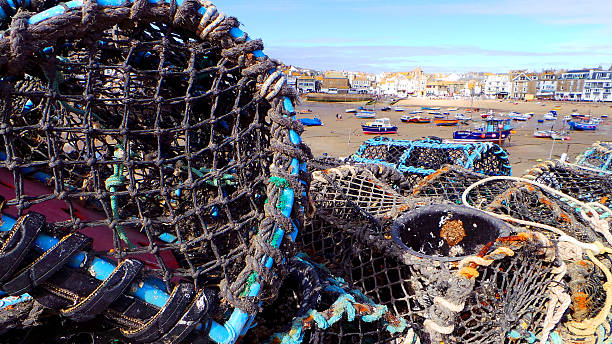trampas de cangrejo en st ives con vistas a la bahía, marea hacia fuera - pila de langosta cangrejo ollas trampas fotografías e imágenes de stock