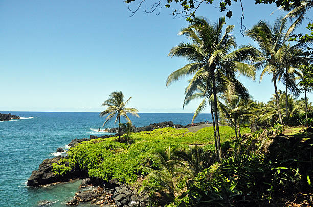 istock Black Sand Beach in Maui, Hawaii 542695958