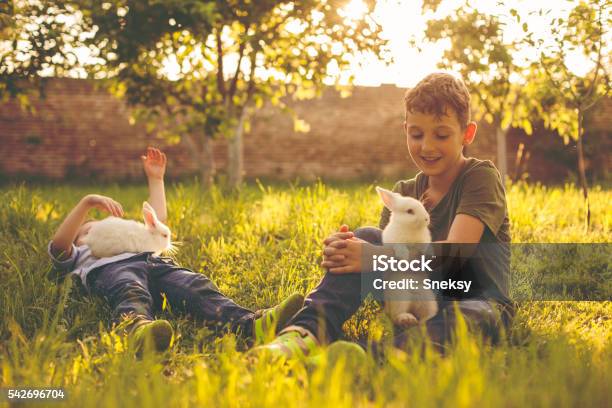 Conejos Y Niños Lindo Foto de stock y más banco de imágenes de Conejo - Animal - Conejo - Animal, Niño, Personas