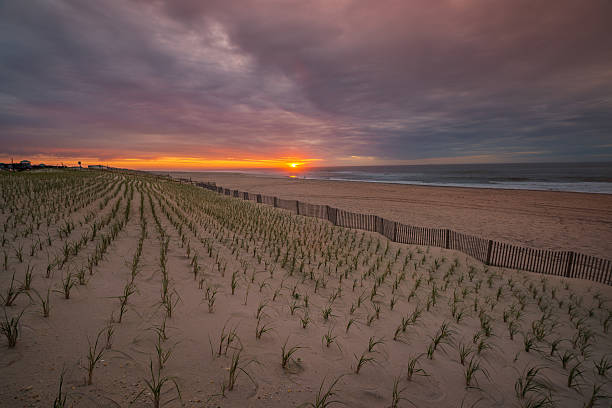 istock Sunrise over teh Atlantic ocean with fence and beach 542697140