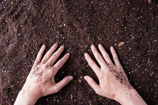 istock Human hands are touching the soil 542698440