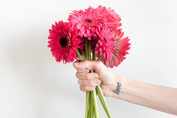 istock Woman holding crimson gerberas (cropped) 542698974