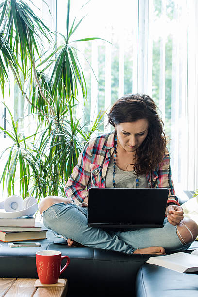 istock modern freelancer or blogger work from home 542699424
